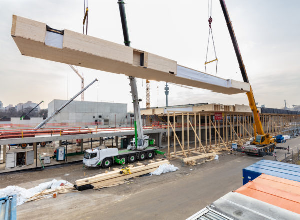 How is mass timber construction changing the way we build today?